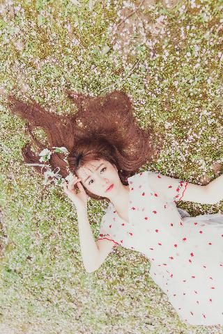 大地资源三在线观看免费高清电视